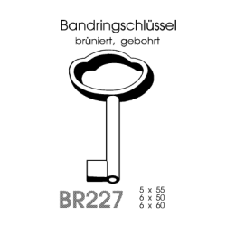 Bandringschlüssel BR 227