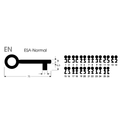 Schrankschlüssel EN
